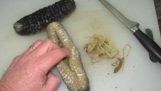 How To Clean & Prepare and Cut Sea Cucumber
