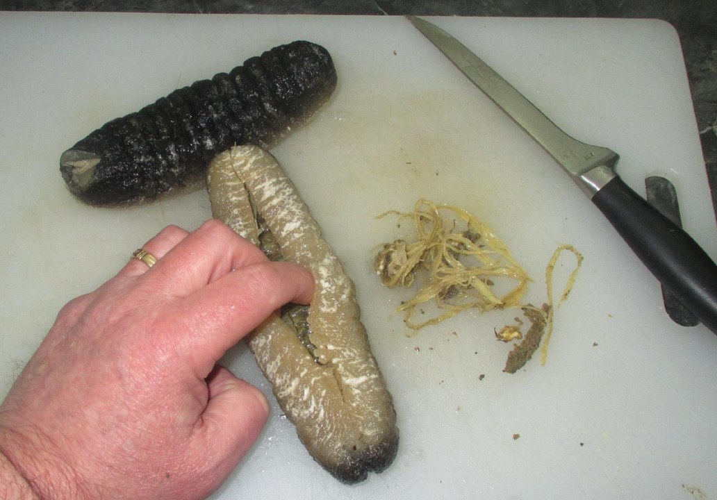 How To Clean & Prepare and Cut Sea Cucumber