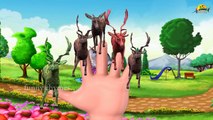 deer Finger Family Nursery Children 3d top Rhymes | Deer 3d Animal