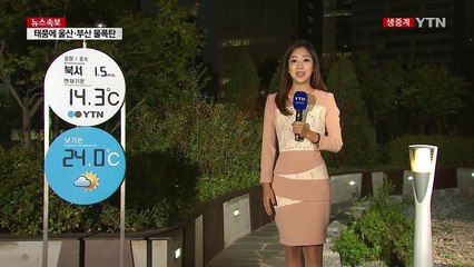 [날씨] 태풍 지나고 쾌청한 가을...낮 동안 선선 / YTN (Yes! Top News)