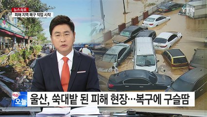 울산, 쑥대밭된 피해 현장...복구에 구슬땀 / YTN (Yes! Top News)
