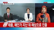 경남 지역도 태풍 영향권...바람 최대 풍속 10m 이상 / YTN (Yes! Top News)