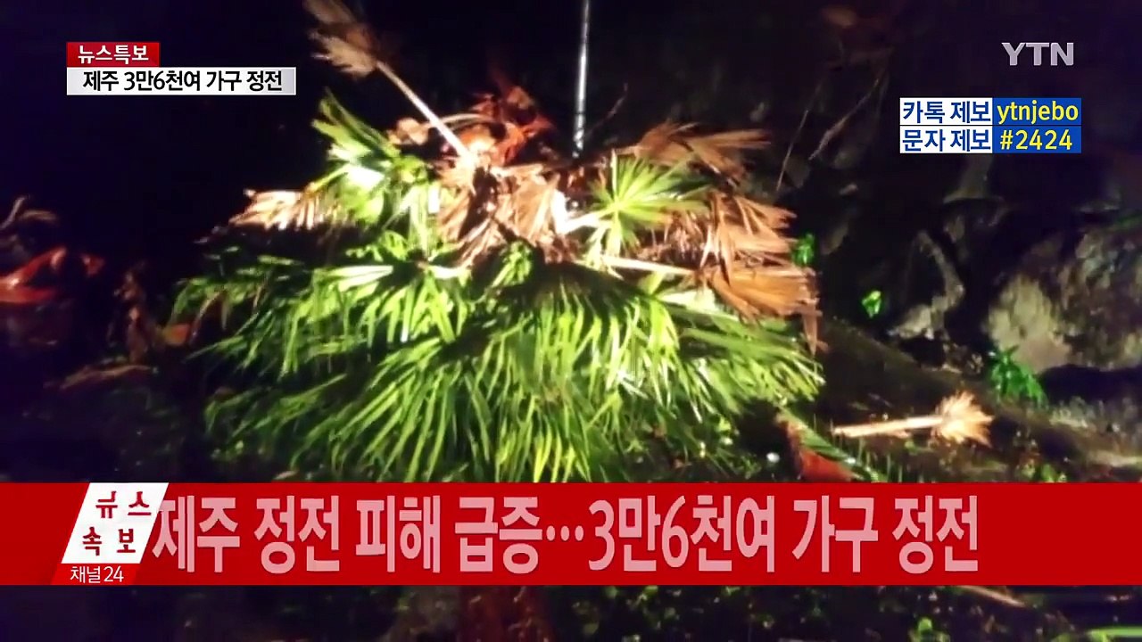 태풍 피해 속출...제주 만 천9백 가구 한때 정전 / YTN (Yes! Top News)