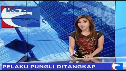 Oknum Honorer Diamankan Tim Saber Pungli