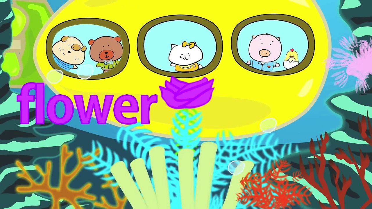 Rainbow Colors Song | Colors Song for Kids | The Singing Walrus