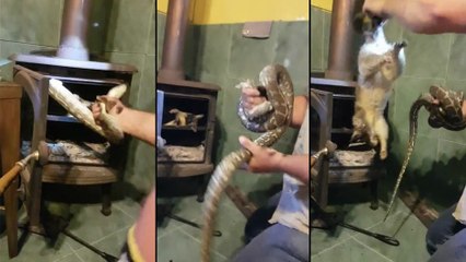 Une découverte surprenante dans son poêle à bois