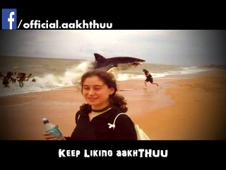 Shark attack caught on camera