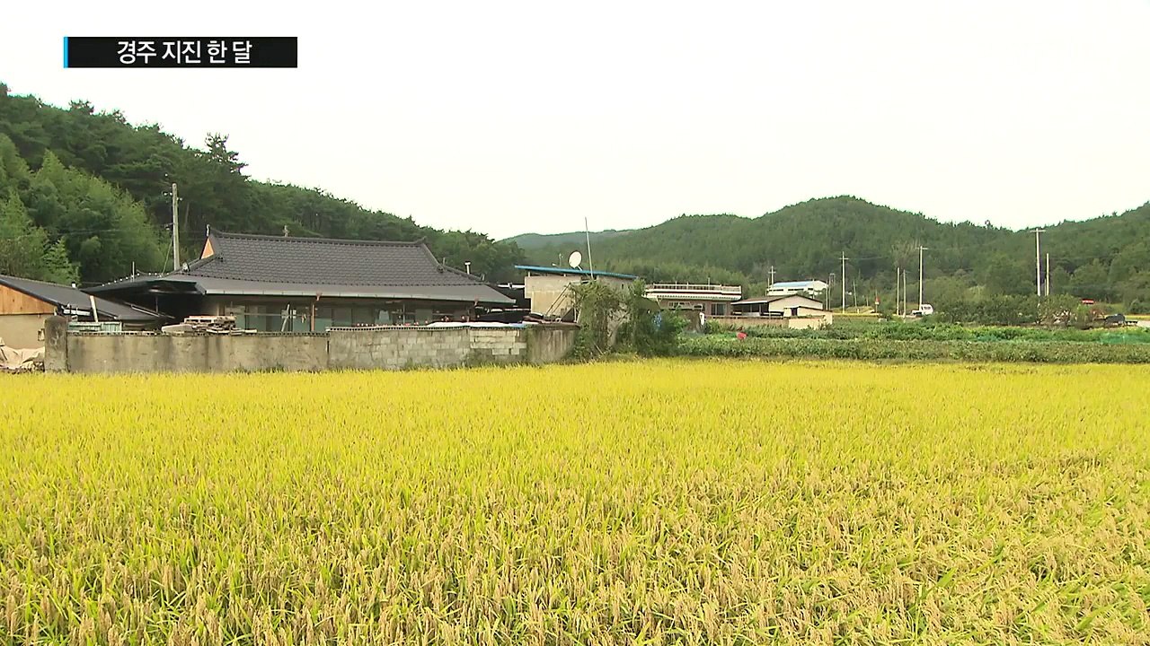 지진 한 달, 계속된 여진 속 제모습 찾기 안간힘 / YTN (Yes! Top News)