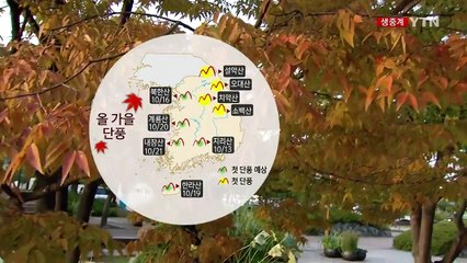 [날씨] 도심에도 가을빛 물씬...선선한 날씨 속 동해안 비 / YTN (Yes! Top News)