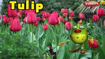 Tulip Rhyme | 3D Nursery Rhymes With Lyrics For Kids | Flower Rhymes | 3D Rhymes Animation