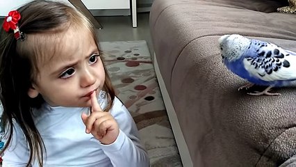 Muhabbet Kuşu Ve Minik Kız Mutlaka İzleyin