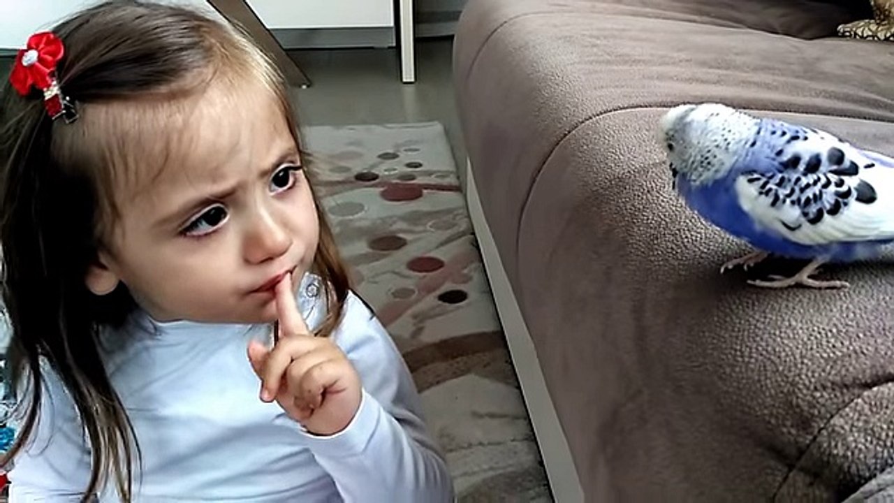 Muhabbet Kuşu Ve Minik Kız Mutlaka İzleyin