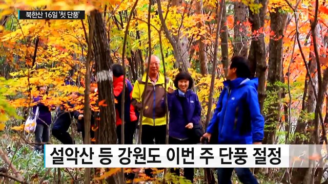 빨라지는 단풍...서울 북한산 16일 '첫 단풍' / YTN (Yes! Top News)