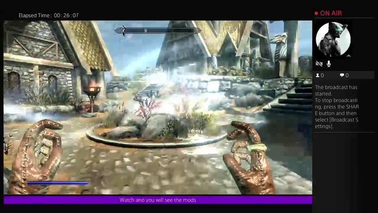 Skyrim with mods lol (40)