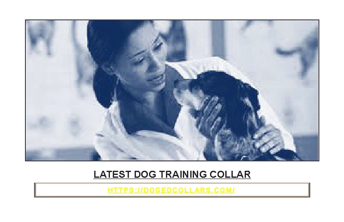 Latest dog training collar