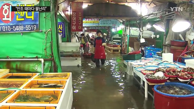 만조 때마다 물난리 주민 고통...뒤늦은 대책 마련 / YTN (Yes! Top News)