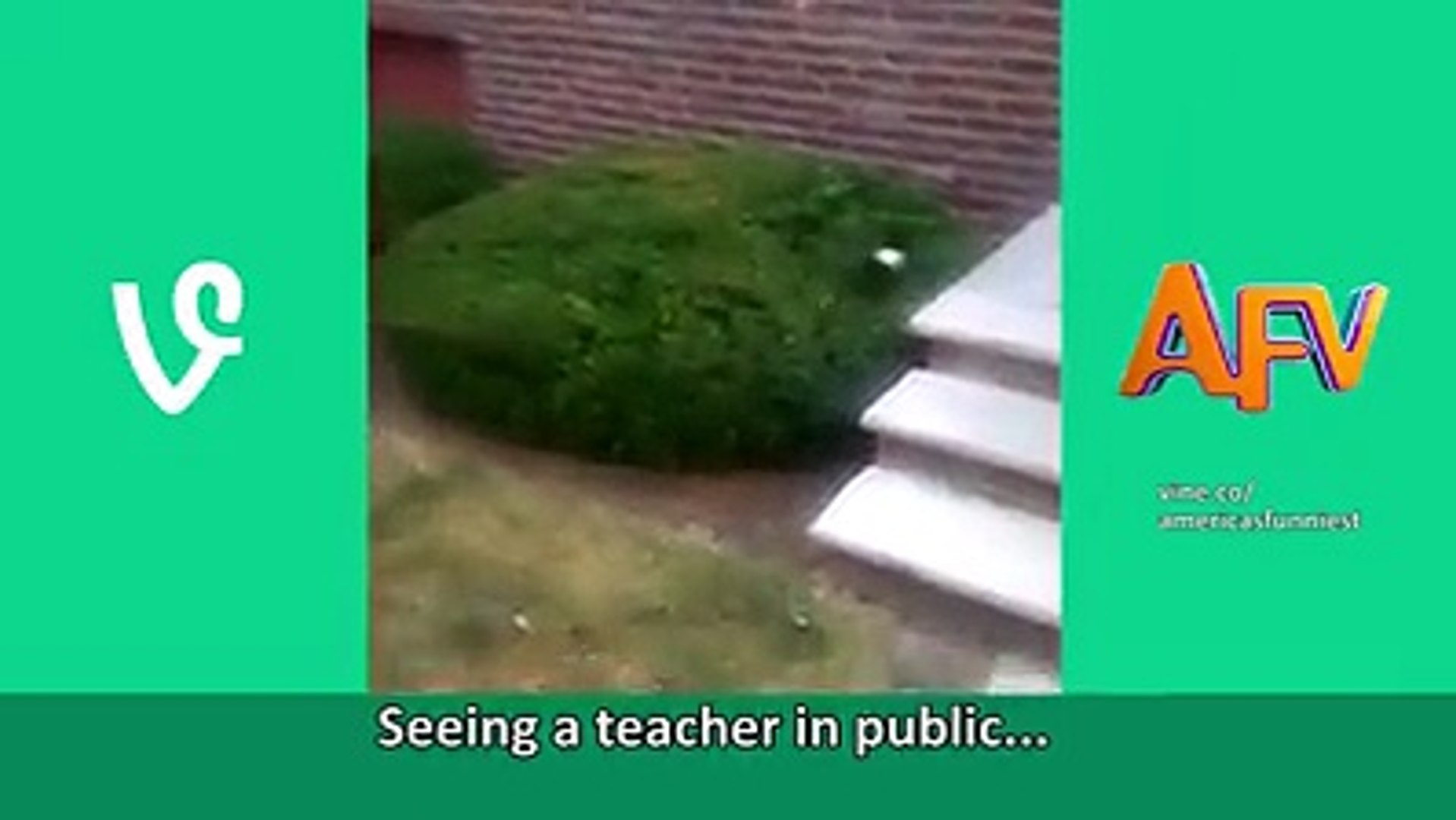 ⁣Funny Pets Vine Compilation, Where would the Internet be without pets?