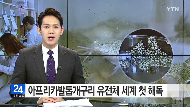 아프리카발톱개구리 유전체 세계 첫 해독 / YTN (Yes! Top News)