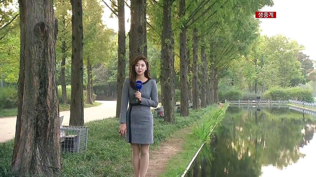 [날씨] 도심 가을빛 완연...내일 낮 동안 다소 더워 / YTN (Yes! Top...