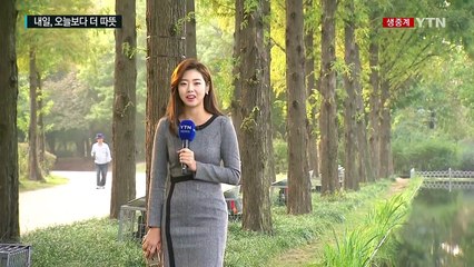 [날씨] 도심 가을빛 완연...내일 오늘보다 더 따뜻 / YTN (Yes! Top News)