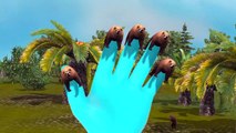 Bear Animal Finger Family Rhymes For Children 3D Rhymes | Top 10 Finger Family Rhymes