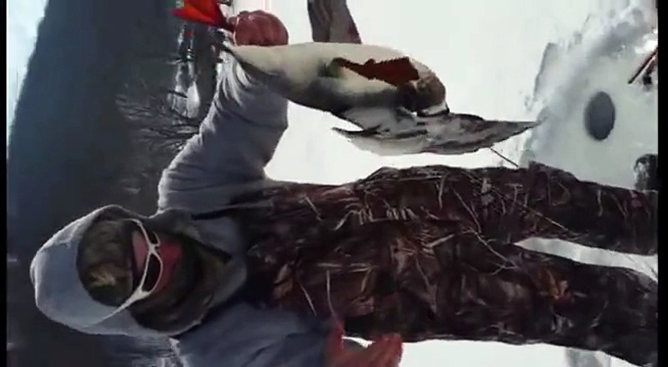 A man discovers that something has taken the bait to his love ... but it is not a fish!
