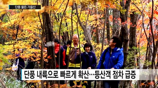 단풍 물든 가을 산, 방심하면 산행 사고 / YTN (Yes! Top News)