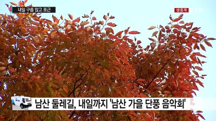 [날씨] 단풍으로 물든 남산...내일 구름 많고 포근 / YTN (Yes! Top News)