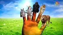 Lion Vs Gorilla | The Finger Family Nursery Kids 3d animated animals rhymes