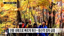 단풍 물든 가을 산, 방심하면 산행 사고 / YTN (Yes! Top News)