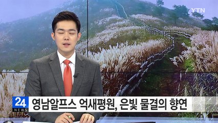 동화 속을 걷는 듯...영남알프스 은빛 물결의 향연 / YTN (Yes! Top News)