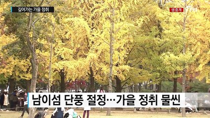 알록달록 단풍 속으로...남이섬, 가을 정취 물씬 / YTN (Yes! Top News)
