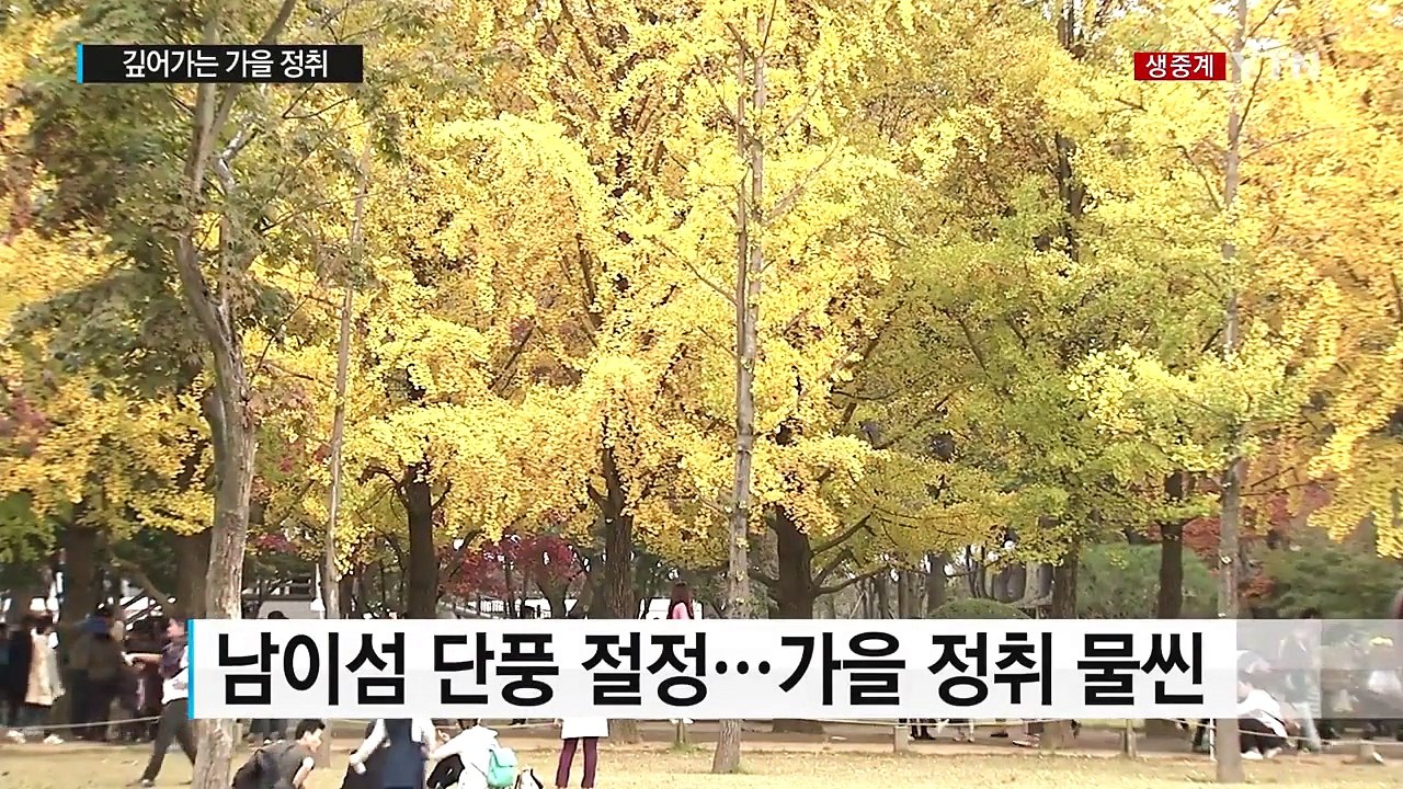 알록달록 단풍 속으로...남이섬, 가을 정취 물씬 / YTN (Yes! Top News)