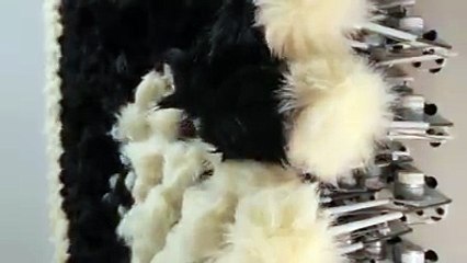Funny and Interactive Furry Mirror