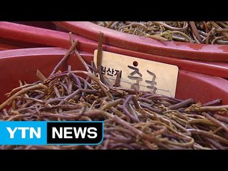 정부, 北 농수산품 위장 반입 현장 점검 / YTN (Yes! Top News)