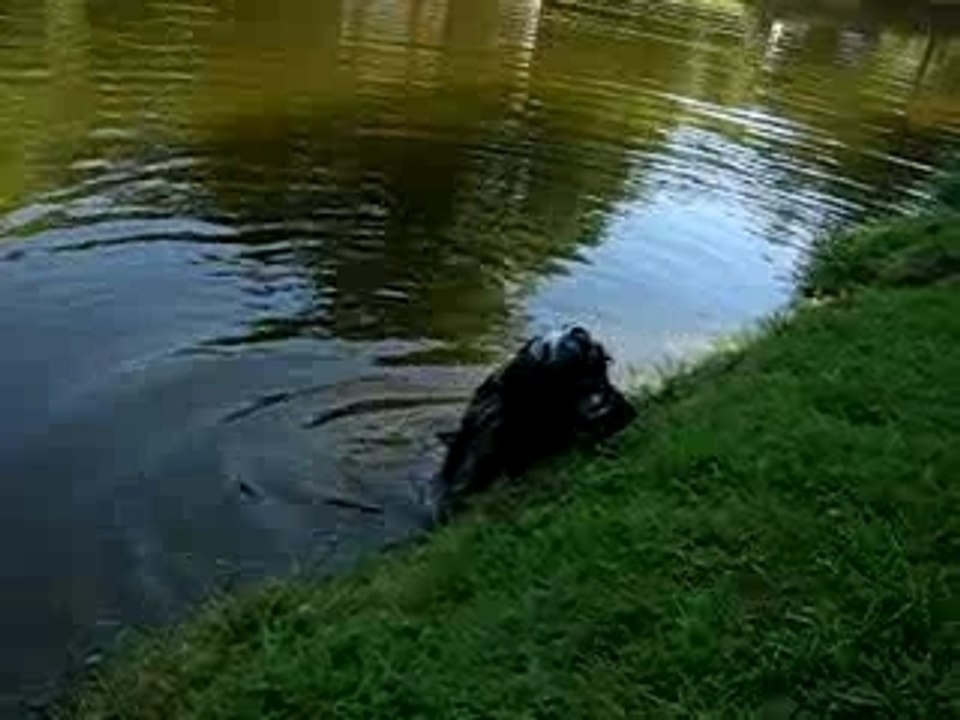 DANS L'EAU