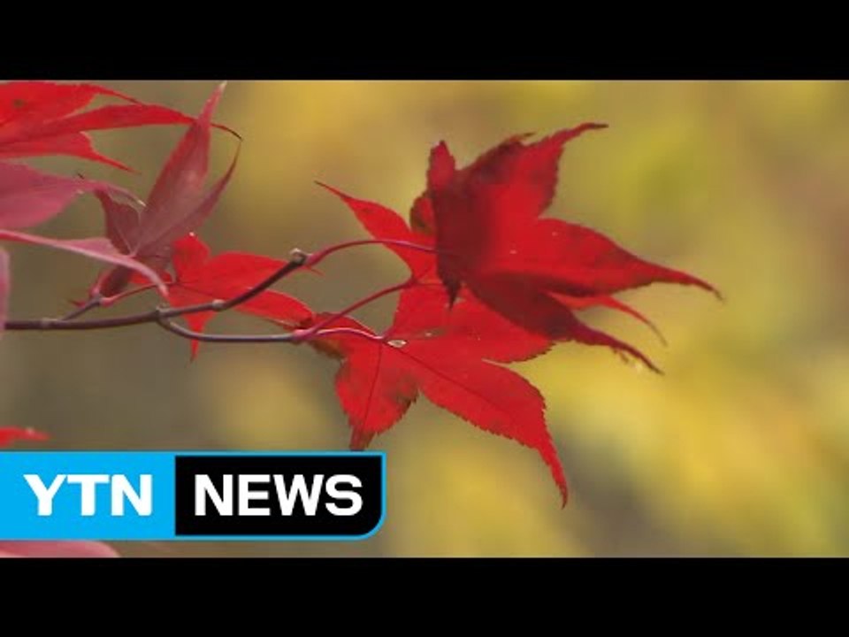 [날씨] 안개 옅어져...낮 동안 구름 많고 선선 / YTN (Yes! Top News)