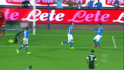 Arkadiusz Milik - All Goals 2016 - SSC Napoli