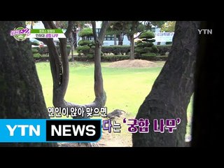 [캠퍼스24_캠퍼스 탐험대] 대학 속 전설의 장소(인하대, 한양대) / YTN (Yes! Top News)