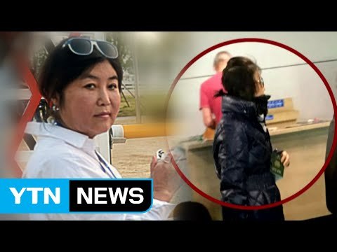'비선 실세' 최순실 측 변호사가 밝힌 귀국 사유 / YTN (Yes! Top News)