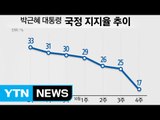 박근혜 대통령 지지율 역대 최저...6주 연속 하락 / YTN (Yes! Top News)