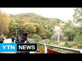 [날씨] 가을 추위 성큼...막바지 단풍 나들이 / YTN (Yes! Top News)
