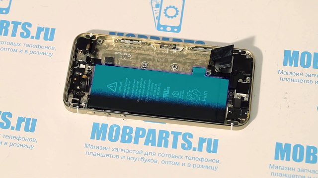 Apple iPhone 5s как разобрать, ремонт и сборка iPhone 5s