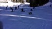 Un lynx s'incruste sur une piste de ski sous les yeux de skieurs stupéfaits