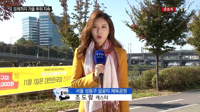 [날씨] 가을 추위 절정...낮 동안 맑지만 쌀쌀 / YTN (Yes! Top News)