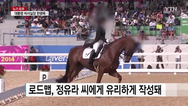 삼성, 정유라 출전 마장마술에 186억 지원 계획 수립 / YTN (Yes! Top News)