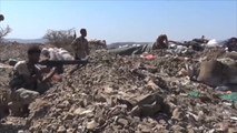 الجيش الوطني اليمني يسيطر على مواقع بباب المندب