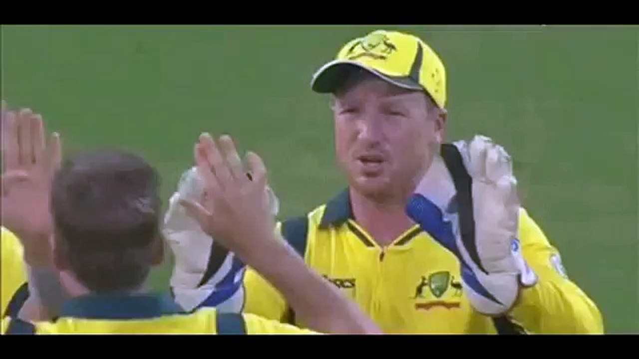 cricket high-five fail funny clips - whatsapp funny videos 2016 2015 #whatsapp @whatsapp - YouTube