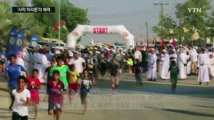 인간 한계에 도전...'사막 마라톤'의 매력 / YTN (Yes! Top News)