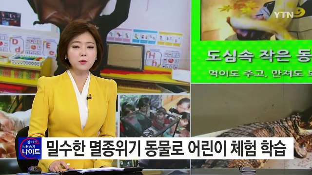 멸종위기 동물 밀수해 어린이 체험 학습...질병 감염 우려도 / YTN (Yes! Top News)
